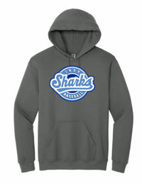 Load image into Gallery viewer, Gildan® - Heavy Blend™ Hooded Sweatshirt
